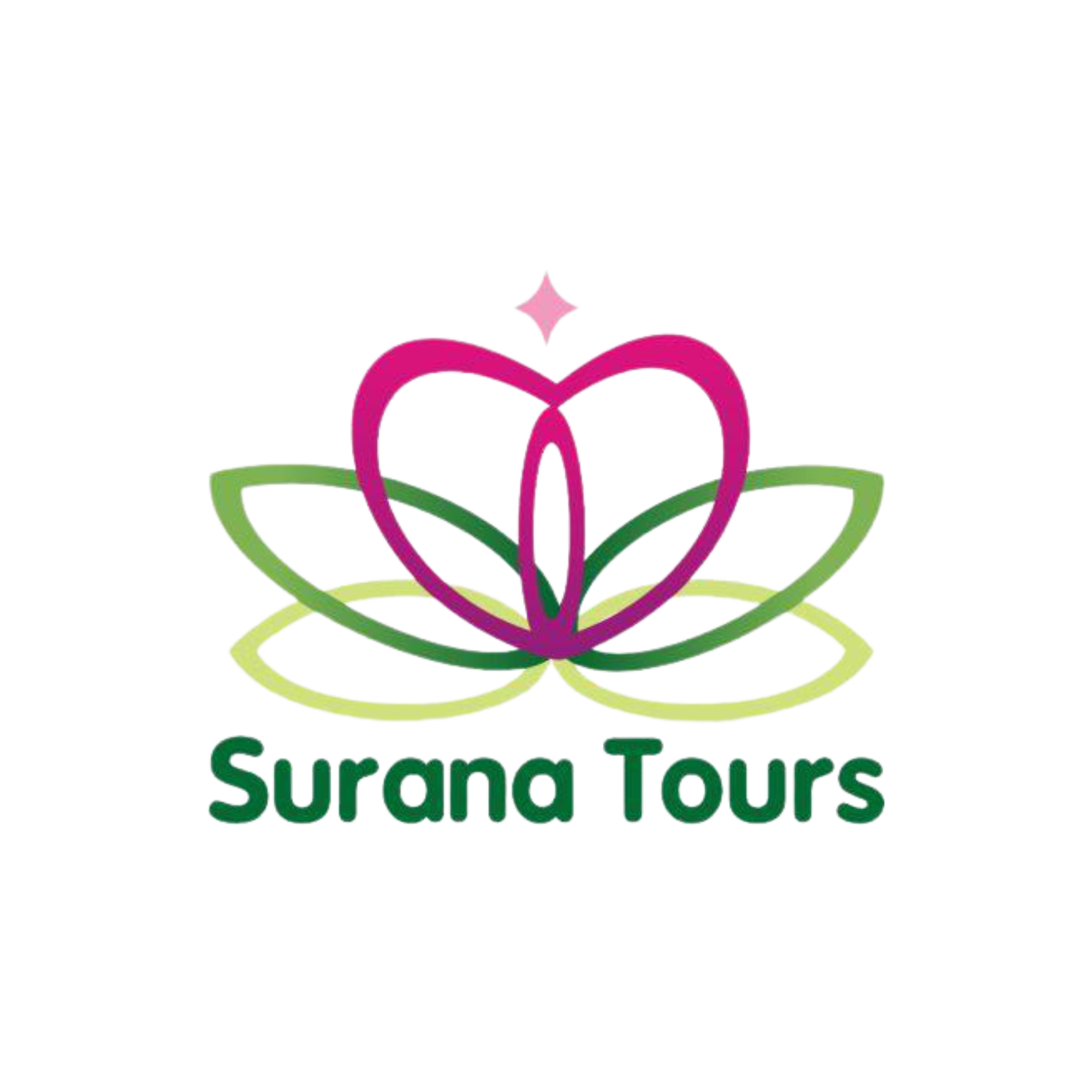 Surana tours